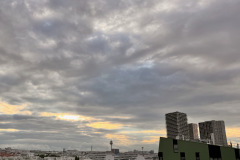 neulich-aus-meinem-Fenster-im-achten-Stock-16-von-17